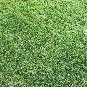 Meet your Posher, Kris